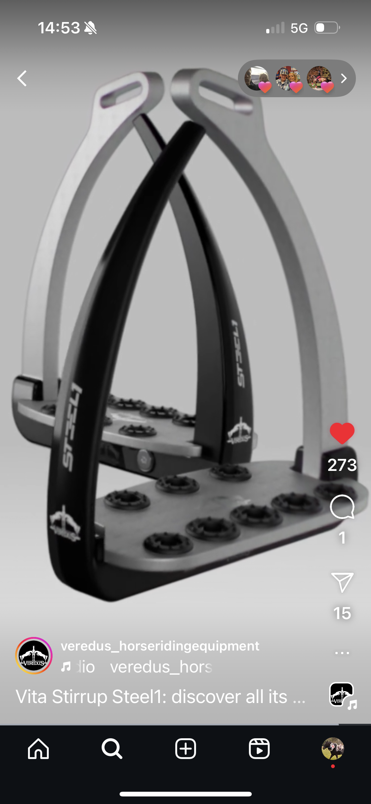 Veredus NEW Stirrup