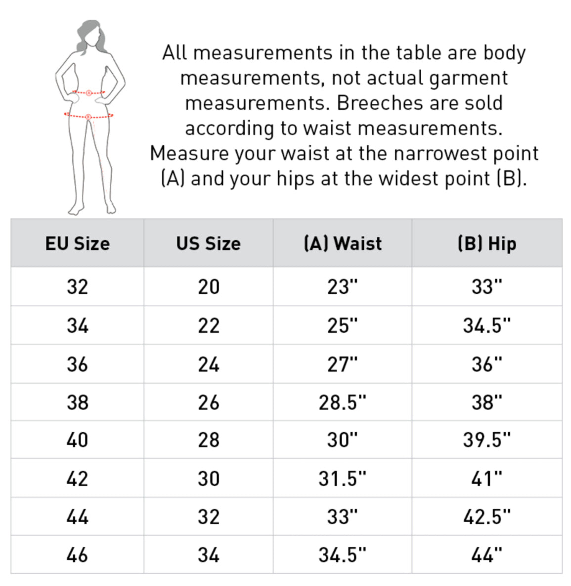 B Vertigo Merino Base Layer PANT