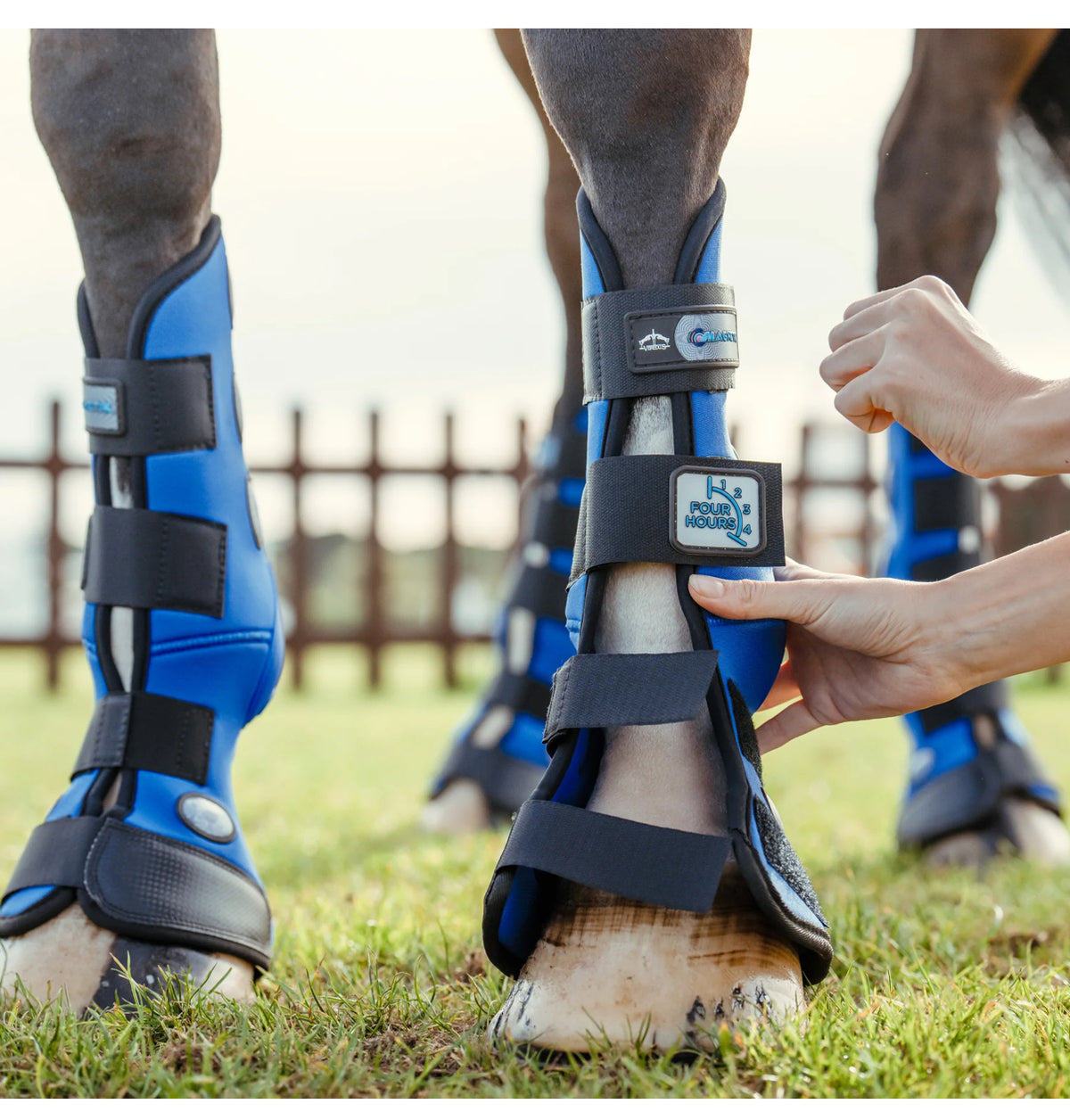 Veredus Magnetik 4-Hour Front Stable Boots - Blue