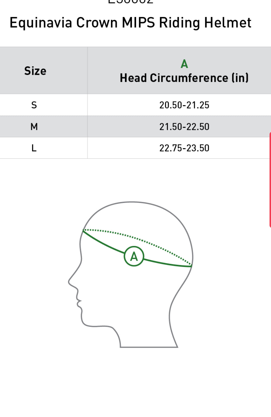 Equinavia MIPS Helmet