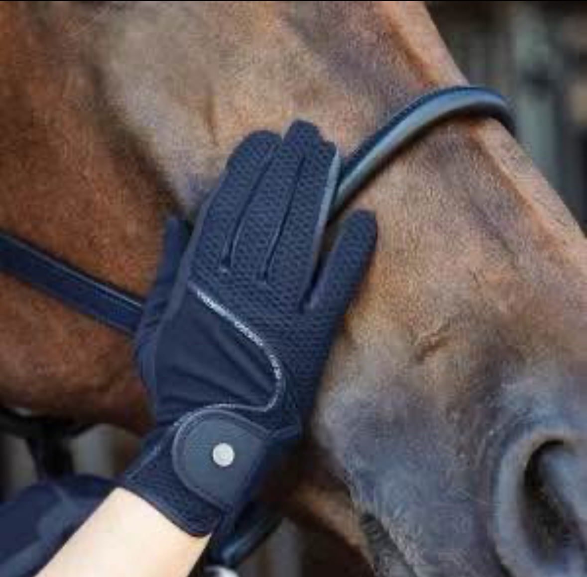 Catago Summer Mesh FIR Glove