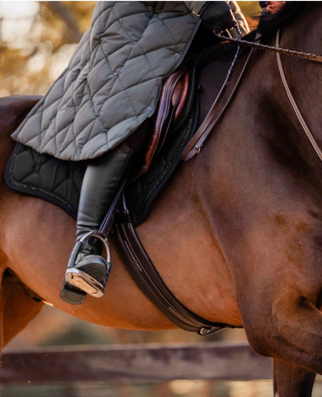 B Vertigo Gem Insulated Long Riding Coat