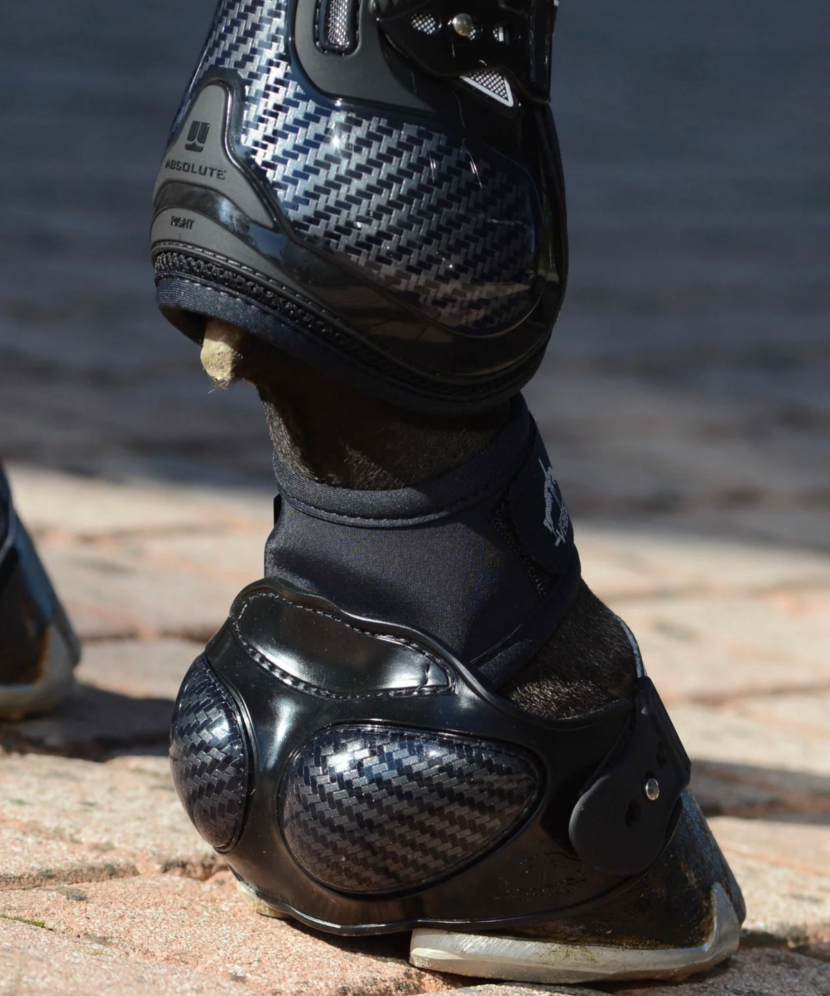 Veredus Carbon Shield Overreach Boots