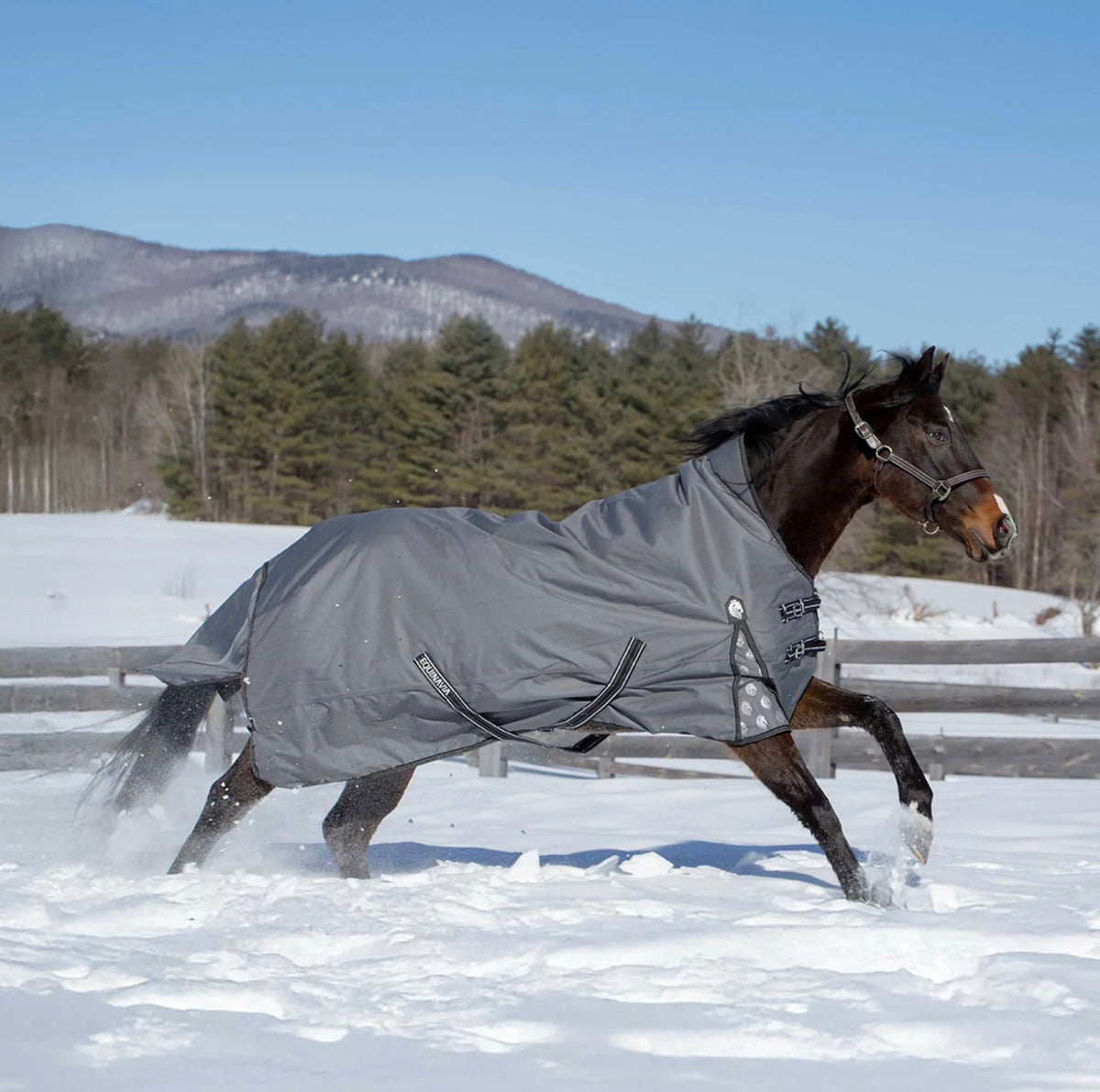Equinavia Arktis Extended Neck 100g