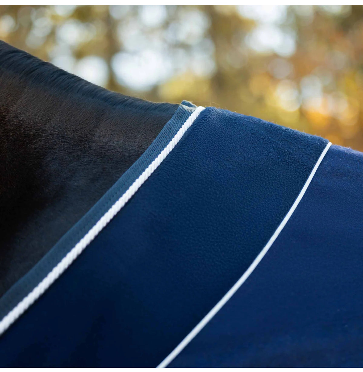 Equinavia Wool Cooler