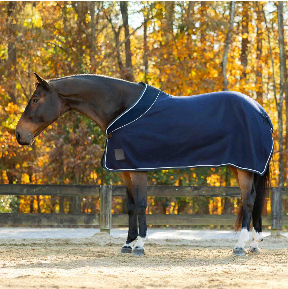 Equinavia Wool Cooler