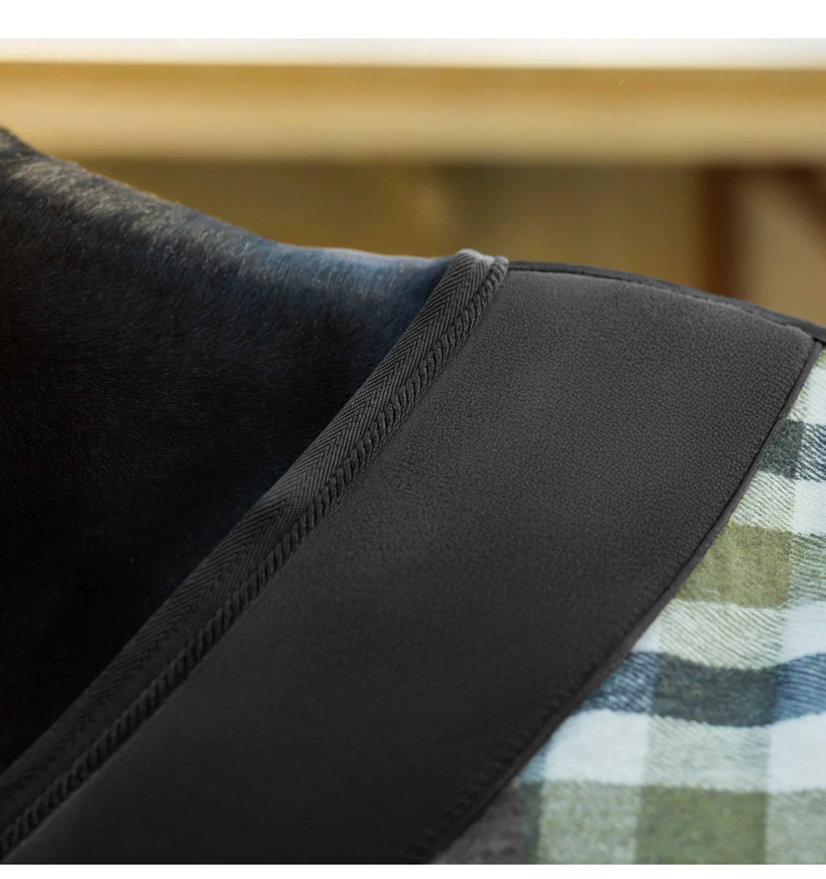 Equinavia Wool Cooler