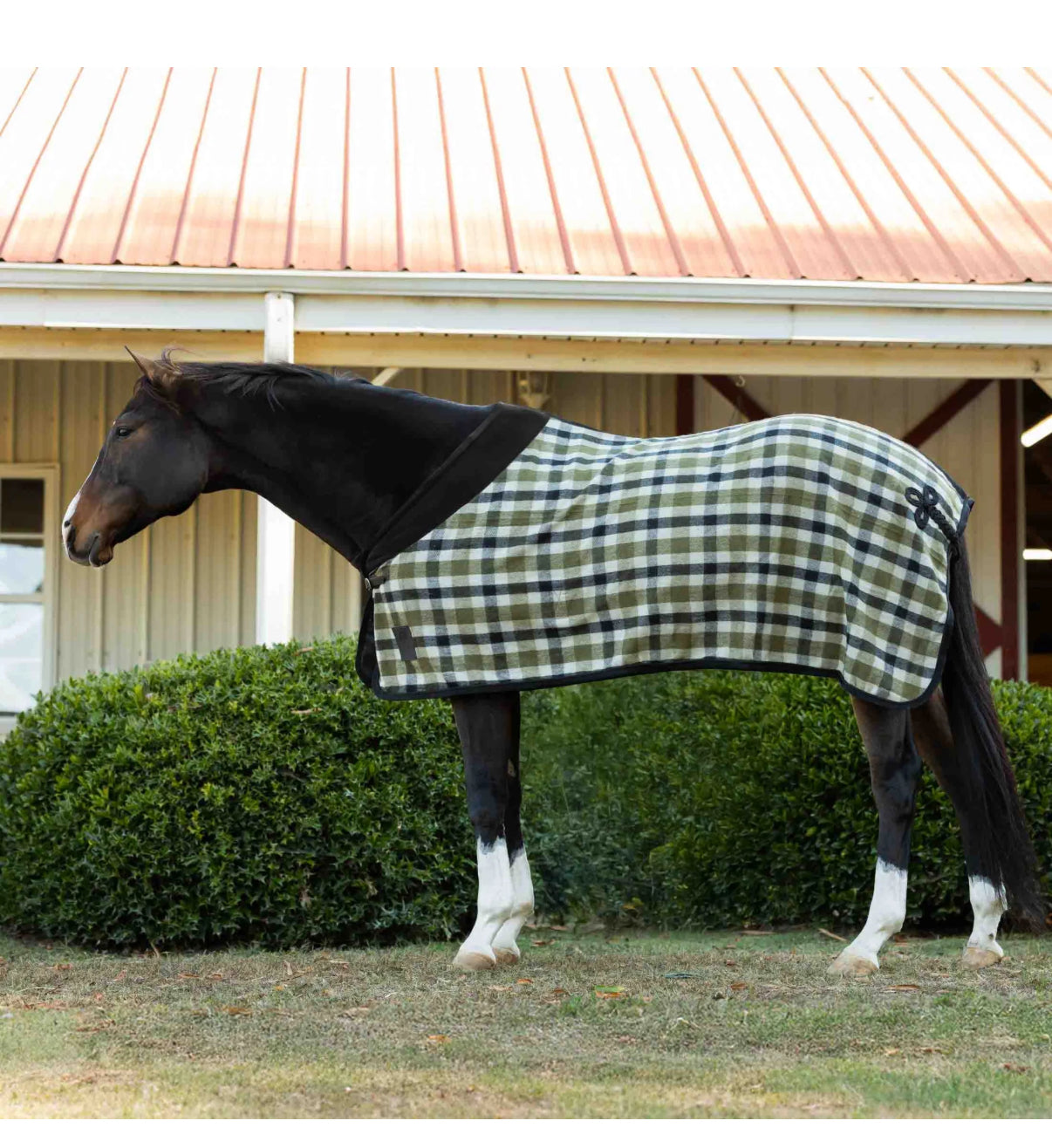 Equinavia Wool Cooler