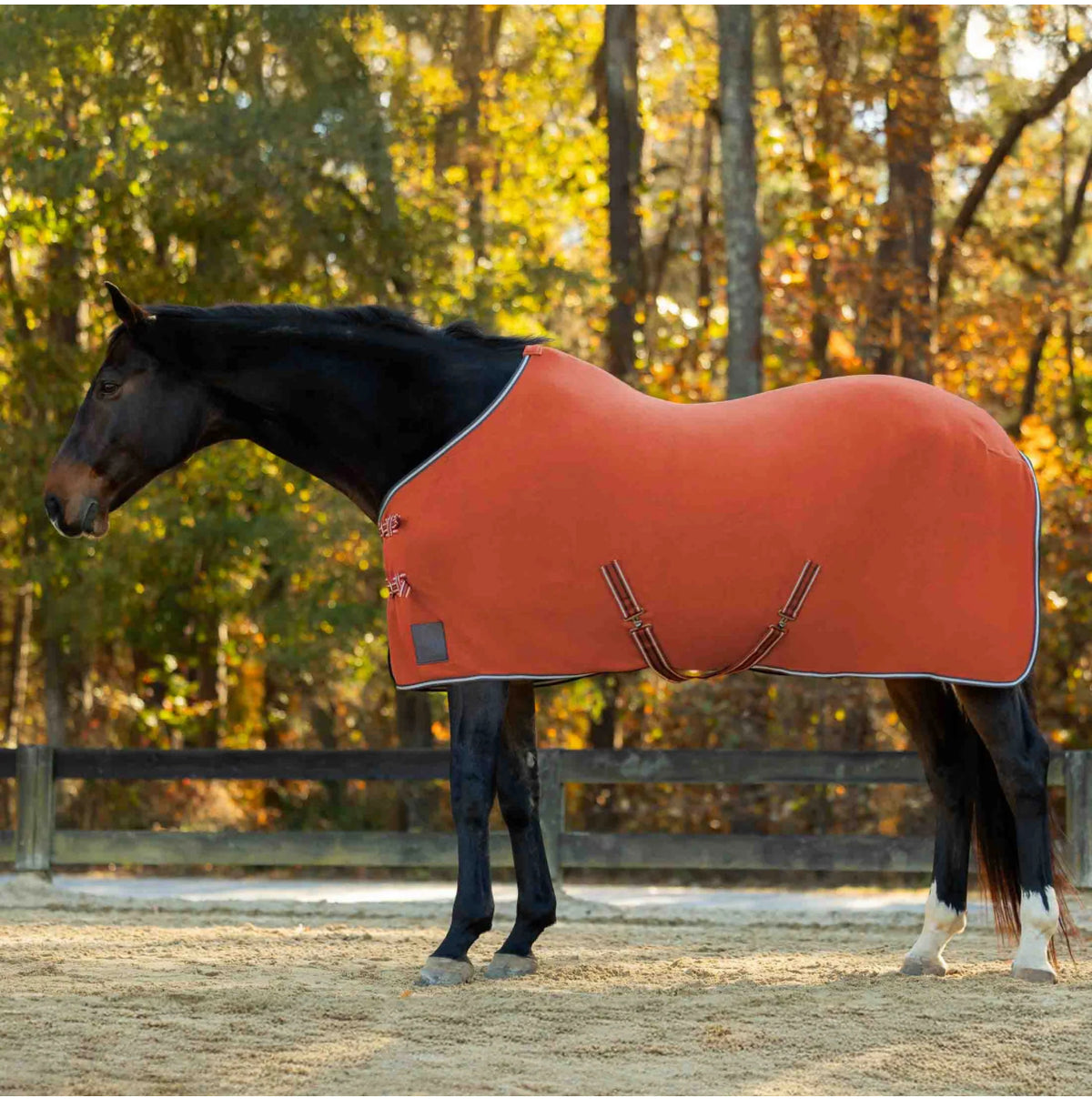 Equinavia Norse Fleece Cooler