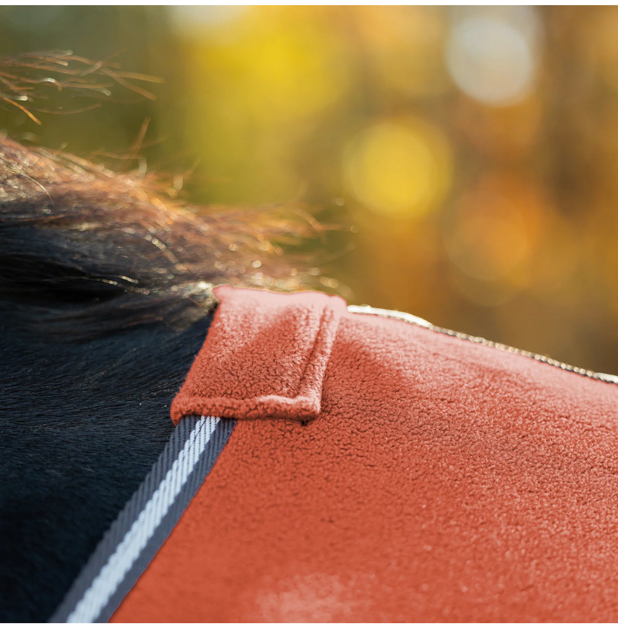 Equinavia Norse Fleece Cooler