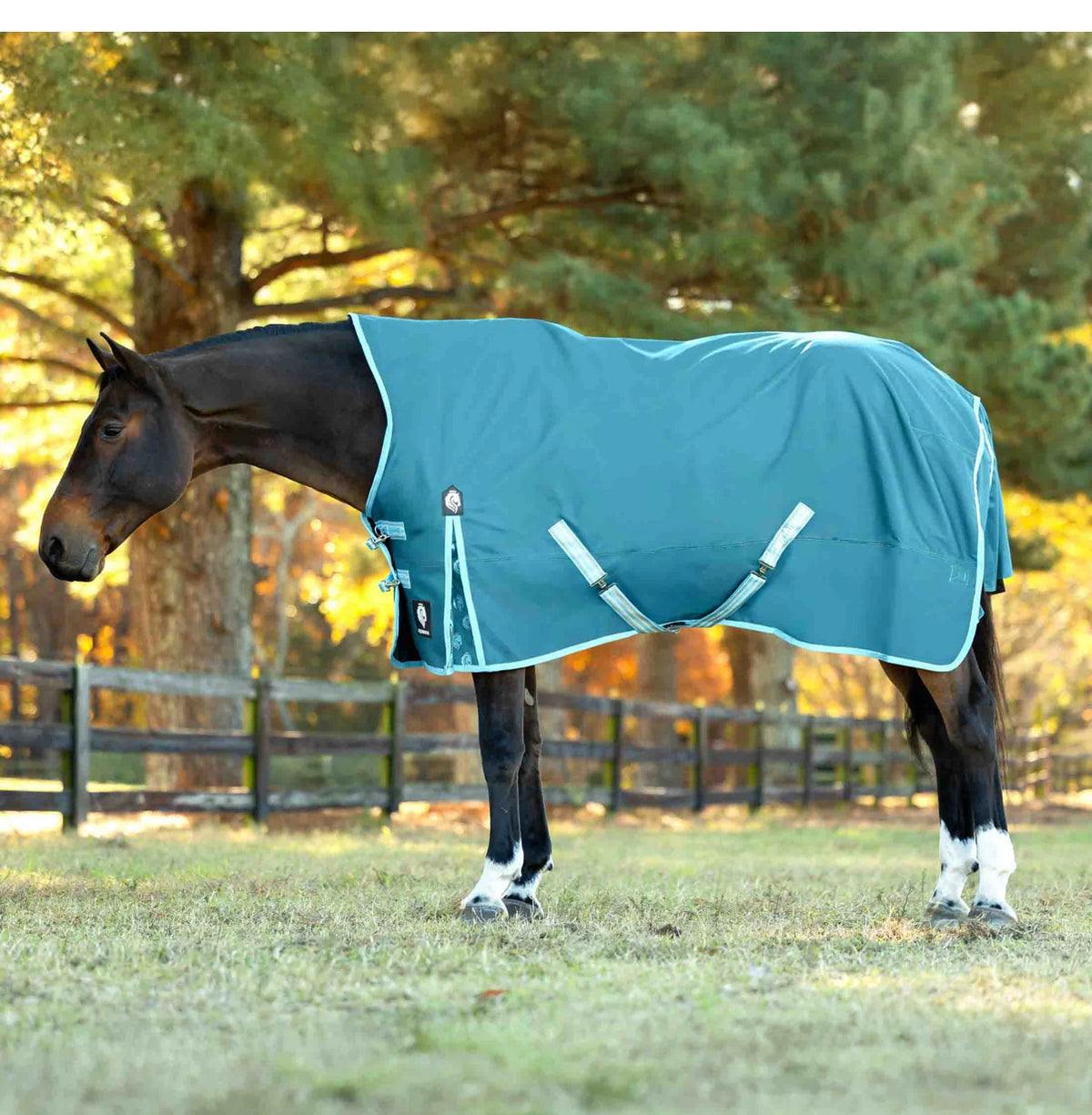 Equinavia Arktis Extended Neck 100g